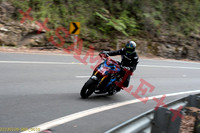 Old Pacific Highway - Sunday 08Jan2023 - PREVIEW