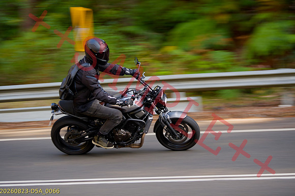 SBR-THUMB-BIKE--20260823-D5A_0066