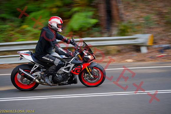 SBR-THUMB-BIKE--20260823-D5A_0024