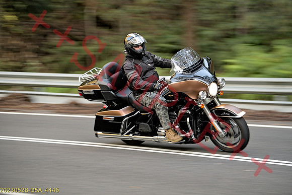 SBR-THUMB-BIKE--20230528-D5A_4446