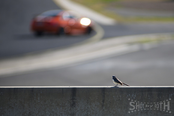 SBR-4Kx-BMWSMSP--20190811-NKN_3896