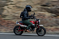 SBR-red-20190526-NKN_6950